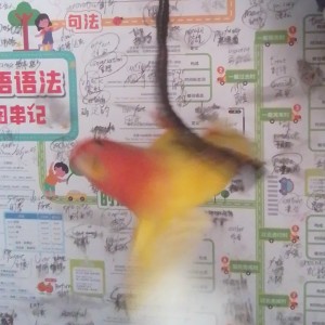 184****0944的钢琴谱
