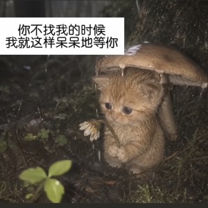 的演奏视频