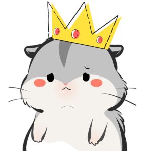 的演奏视频