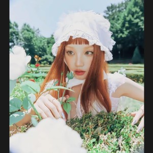 Ninelie的演奏视频