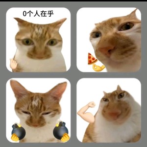 He's A Pirate的演奏视频