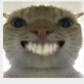 136****2268的钢琴谱