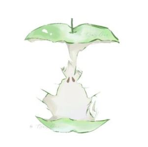 的演奏视频