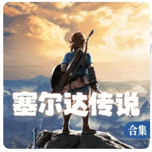 的演奏视频