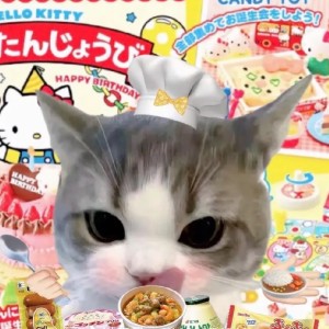 的演奏视频