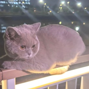 莫道桑榆晚的钢琴谱