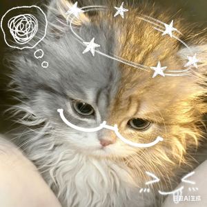 卡布叻_星途的钢琴谱