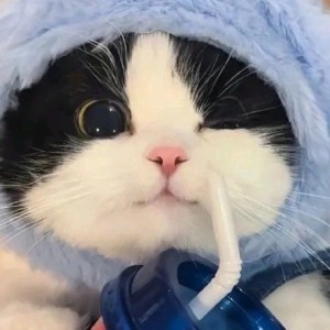 一{鹿}有你O(∩_∩)O的个人空间