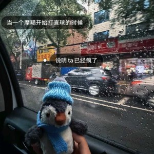 露珠在晨曦前消散的演奏视频