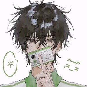 皊.L的钢琴谱