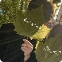 〖Aurora文社.社长〗妄川☯的钢琴谱