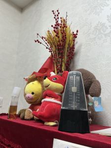 8级A组-情歌的演奏视频