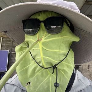 舒傲寒的钢琴谱