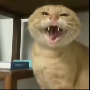 Miraitowa的钢琴谱
