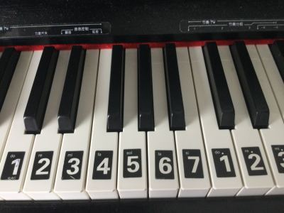 183****0855的钢琴谱
