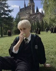 斯莱特林的青苹果的钢琴谱