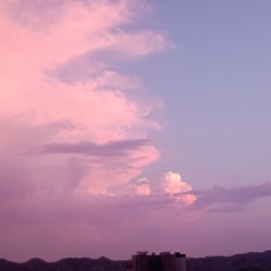 yy23的个人空间