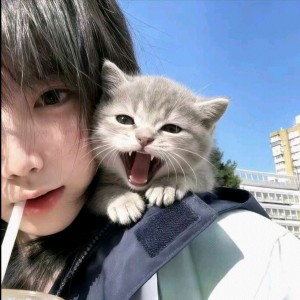 北极星的钢琴谱