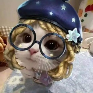 迷盲的钢琴谱