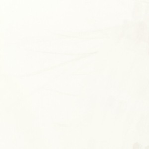 精神创伤的演奏视频