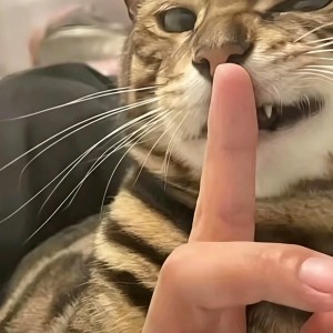 Summer的演奏视频