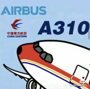 一架退役多年的A310的钢琴谱