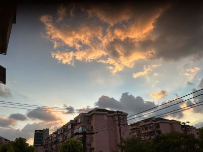 亲爱的旅人啊的演奏视频