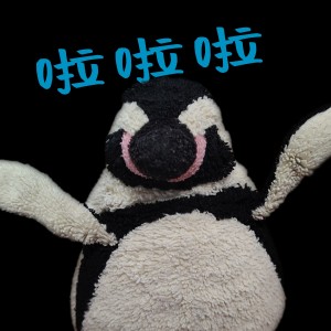 Shop 3的演奏视频