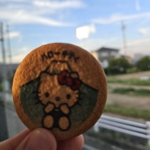 コウを追いかけて的演奏视频