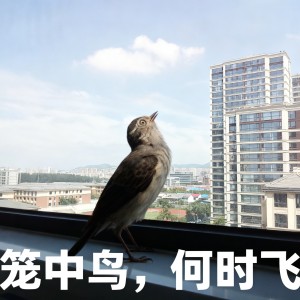 小巷口的修鞋匠的钢琴谱