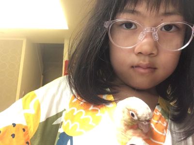 洋娃娃的梦的演奏视频