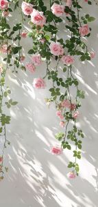 淋雨一直走的演奏视频