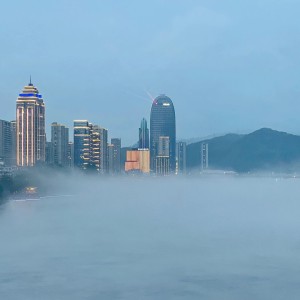 音师的钢琴谱