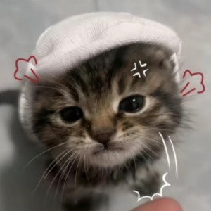 彻的钢琴谱