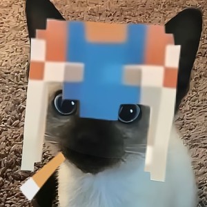 的演奏视频