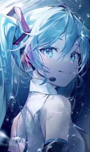 miku～的钢琴谱