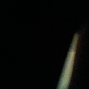 偷偷猫啊(开学退不解释)的钢琴谱