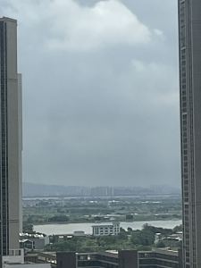玛丽有只小羊羔的演奏视频