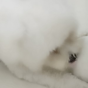 宇见宁（遇见你）的钢琴谱
