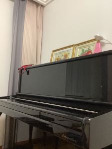 189****8509的钢琴谱