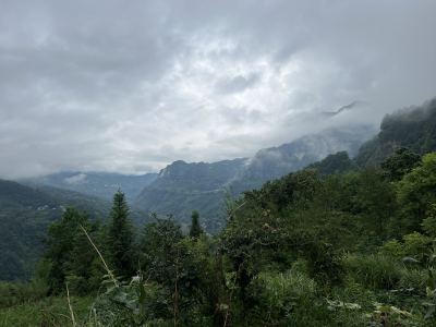 小丸纸的钢琴谱