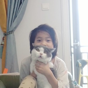 因为我是小茂的钢琴谱