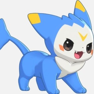 的演奏视频