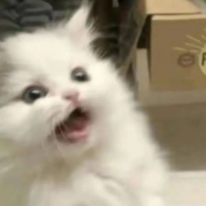 [极道]夏司逆(๑\'~\'๑)的钢琴谱