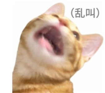 🌸💌的钢琴谱