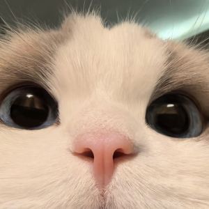的演奏视频