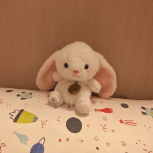 小兔鱼的钢琴谱
