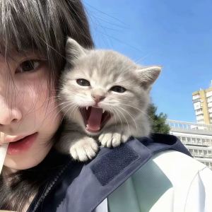 lllll的钢琴谱