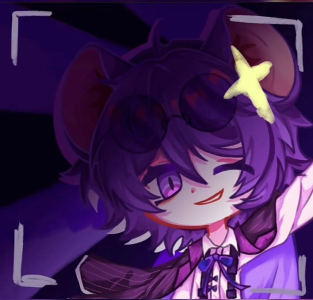 的演奏视频