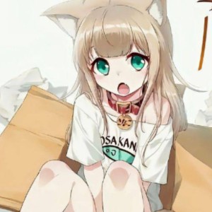 君をのせて的演奏视频